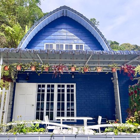 Blue Cabins By Pfordten Cottage 金马仑高原 外观 照片