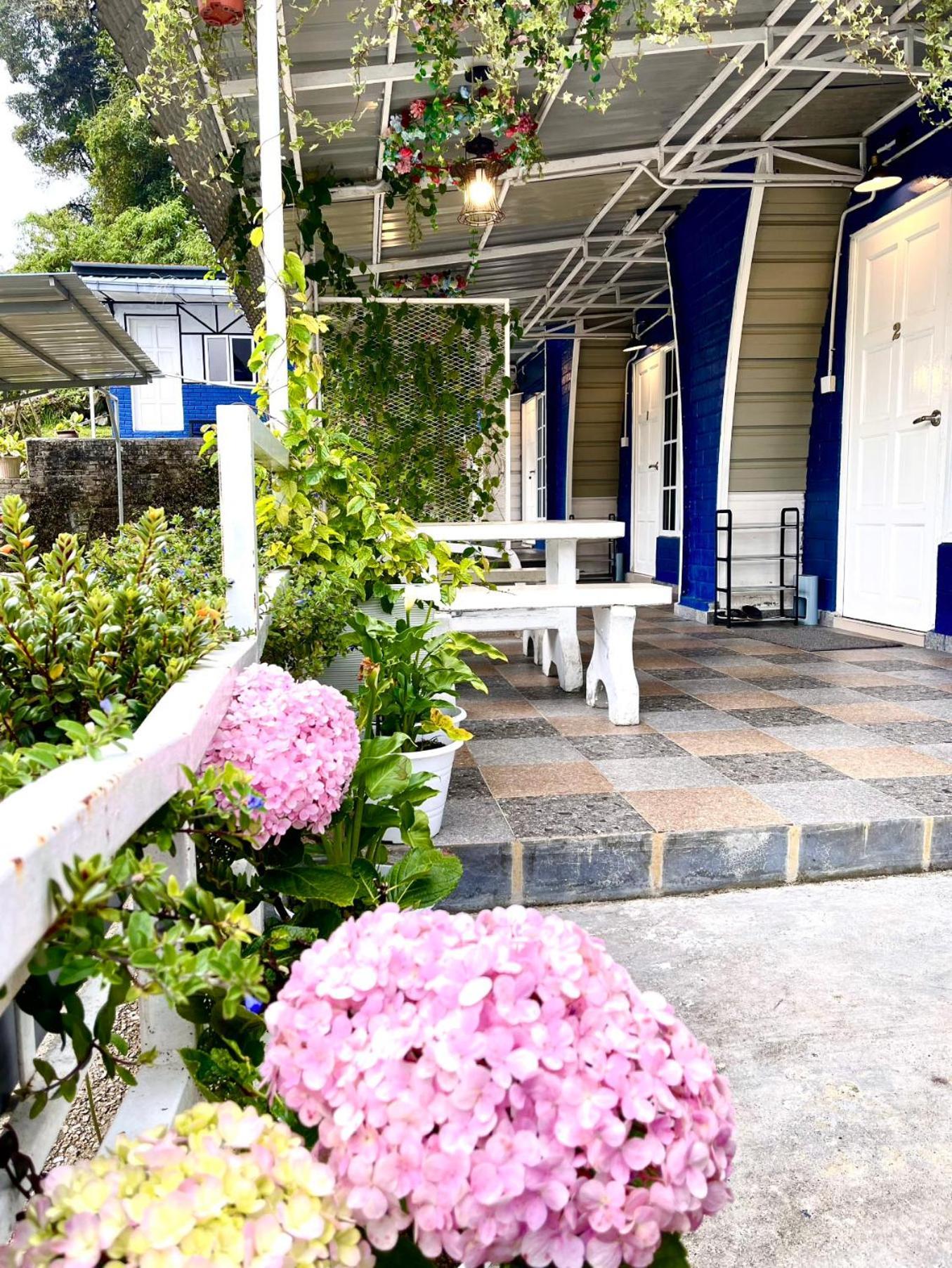 Blue Cabins By Pfordten Cottage 金马仑高原 外观 照片