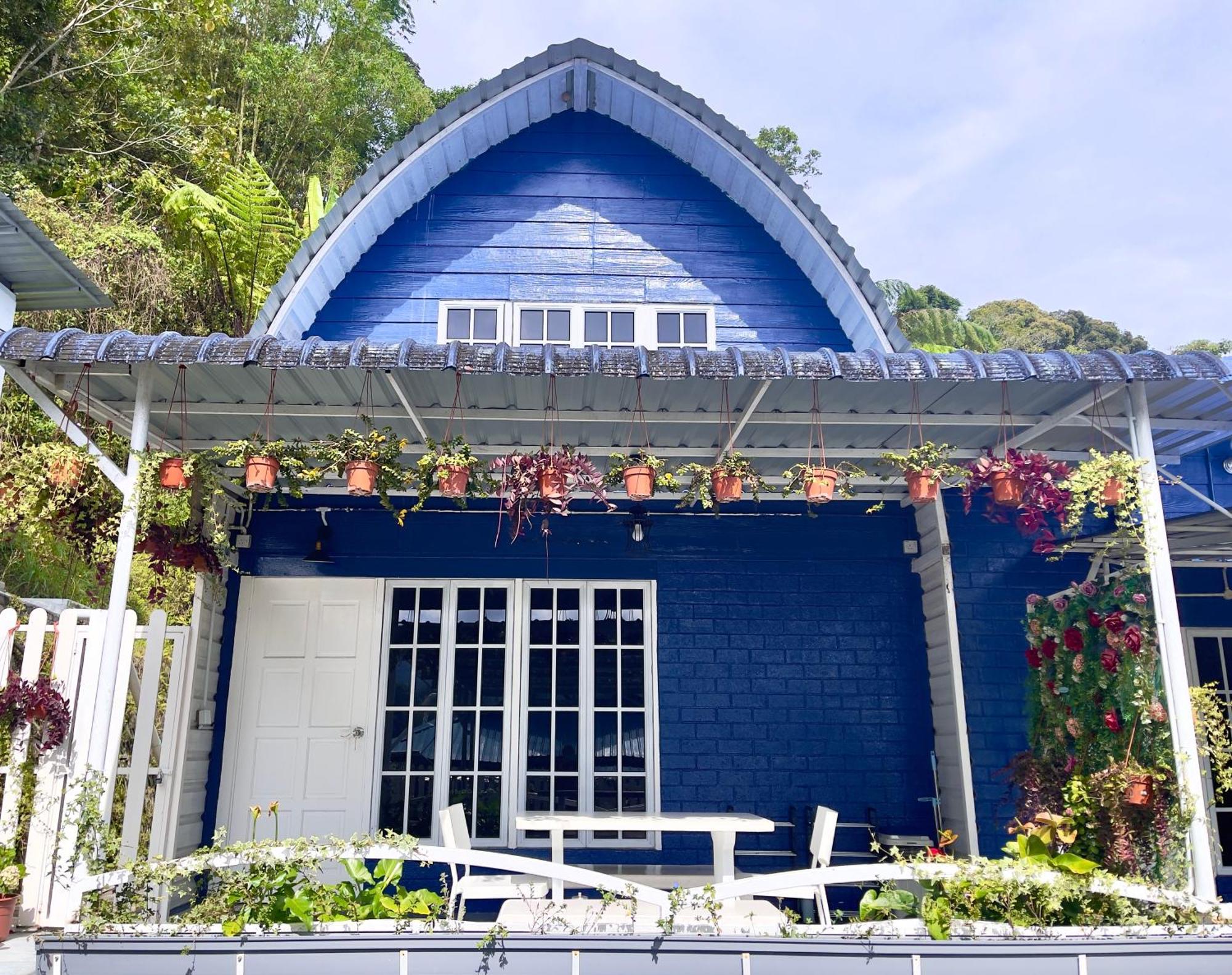 Blue Cabins By Pfordten Cottage 金马仑高原 外观 照片